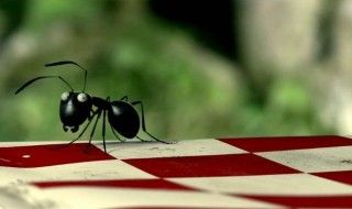 Minuscule La vallée des fourmis : un film d'animation 100% français