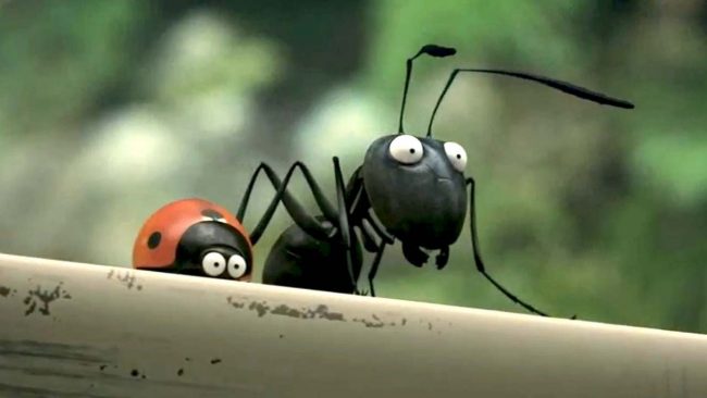 Minuscule La vallée des fourmis perdues streaming gratuit