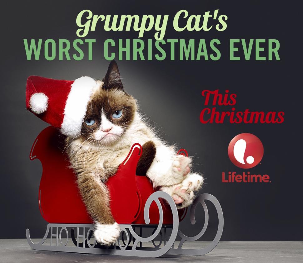 Grumpy Cat le film arrive cet hiver #2
