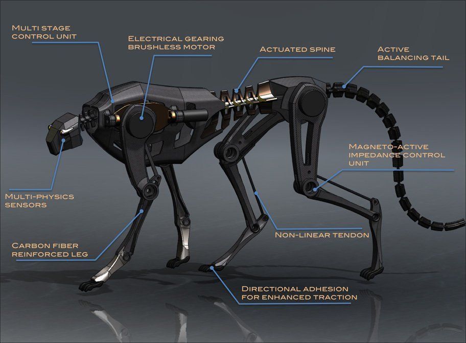 Cheetah : le robot-guépard du MIT #3