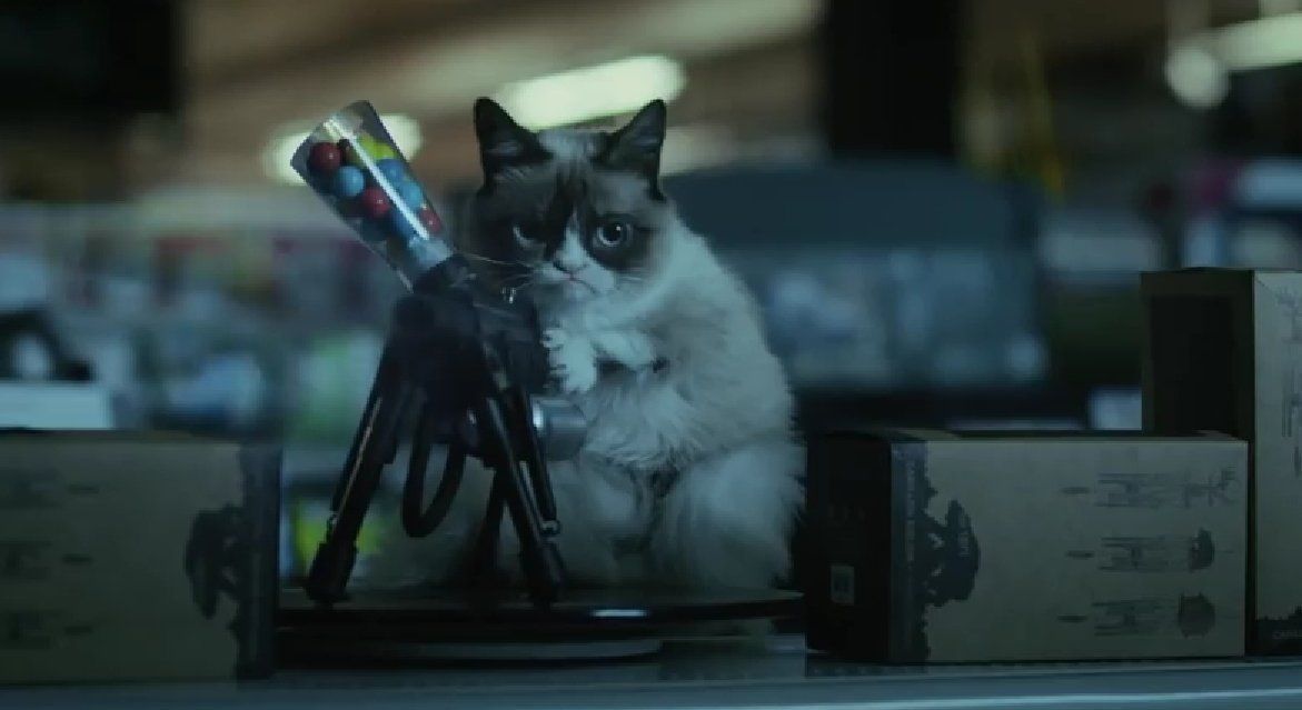 Grumpy Cat : une première bande annonce explosive !