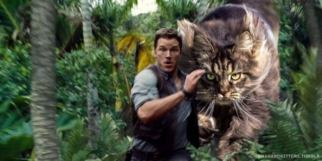 Jurassic World : il remplace les dinosaures par des chats #3