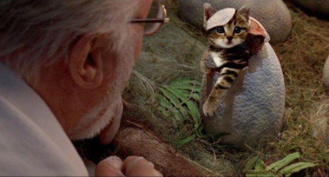 Jurassic World : il remplace les dinosaures par des chats #12