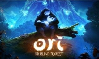 Ori and the Blind Forest : de l'aventure et de la poésie