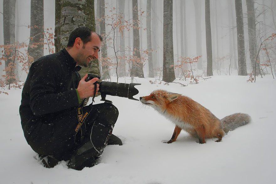 Ces animaux qui se prennent pour des photographes #14