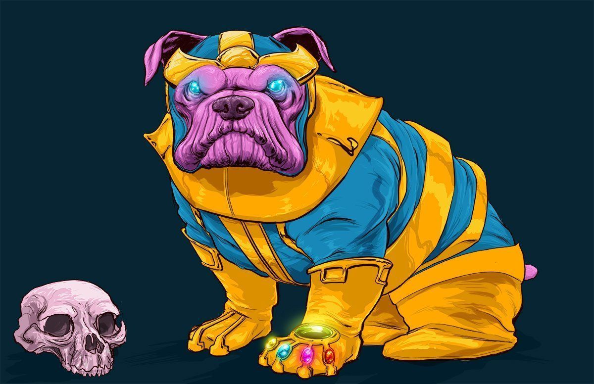 Si les super-héros Marvel étaient des chiens ? #2
