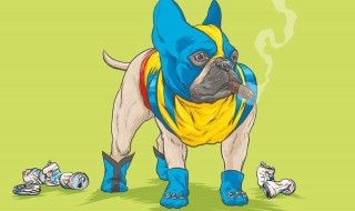 Si les super-héros Marvel étaient des chiens ?
