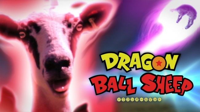 Dragon Ball Sheep : Dragon Ball Z avec ... des moutons