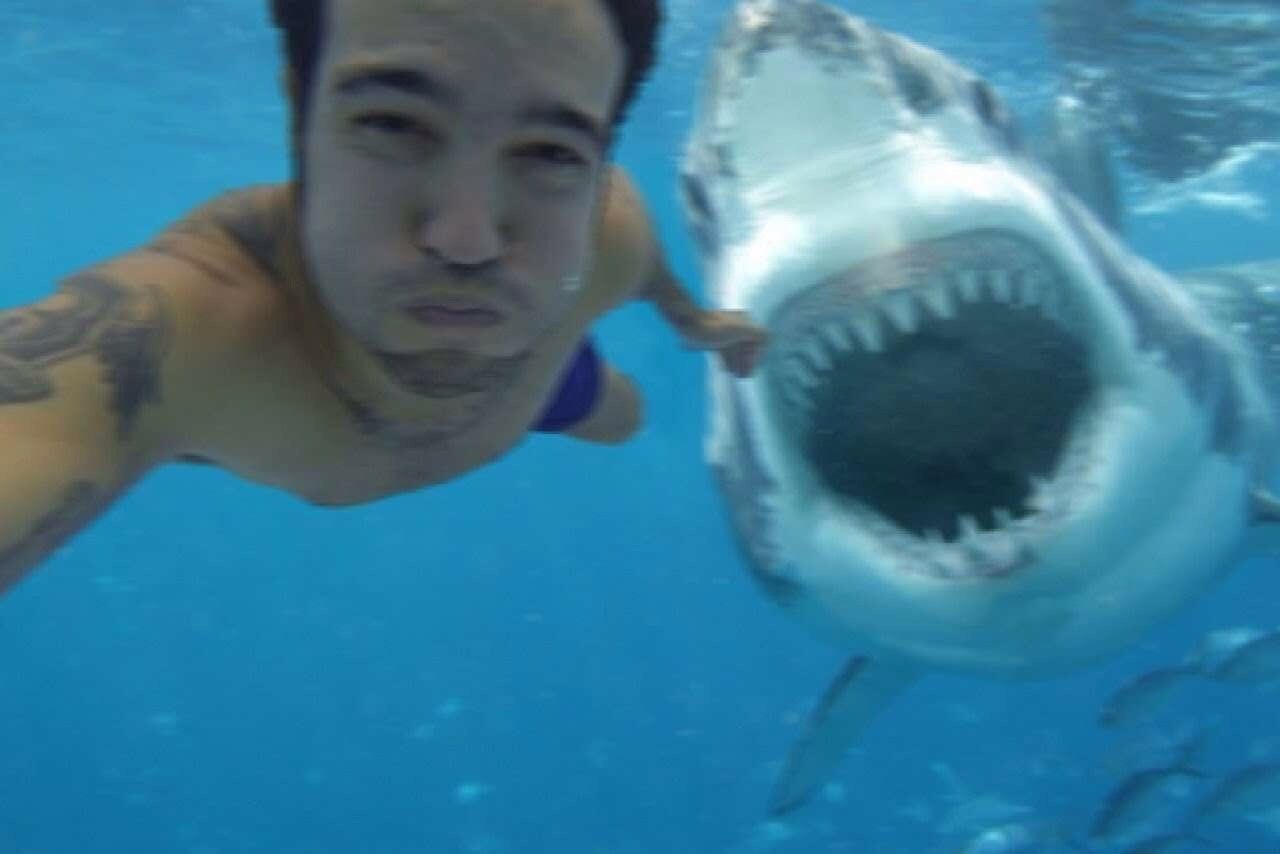 Plus de morts en 2015 à cause de selfies que d'attaques de requins #4