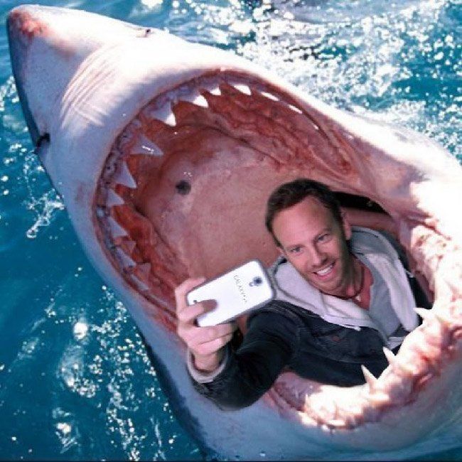 Plus de morts en 2015 à cause de selfies que d'attaques de requins #2