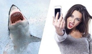 Plus de morts en 2015 à cause de selfies que d'attaques de requins