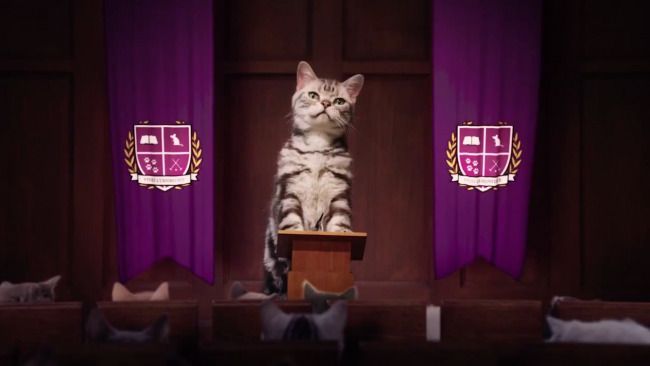 Kitten Kollege : une université pour les Chatons #2