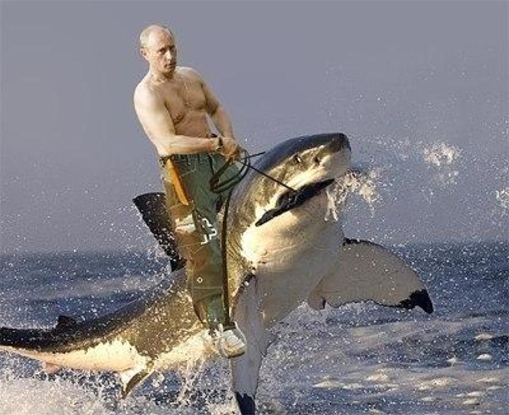 Poutine Facts : Vladimir Poutine plus fort que Chuck Norris ? #6