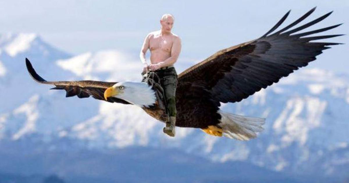 Poutine Facts : Vladimir Poutine plus fort que Chuck Norris ?