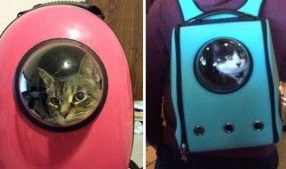 Envoyez votre chat dans l'espace avec les sacs à dos U-pet