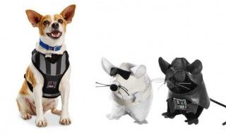 Des accessoires Star Wars pour chiens et chats