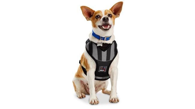 Des accessoires Star Wars pour chiens et chats #2