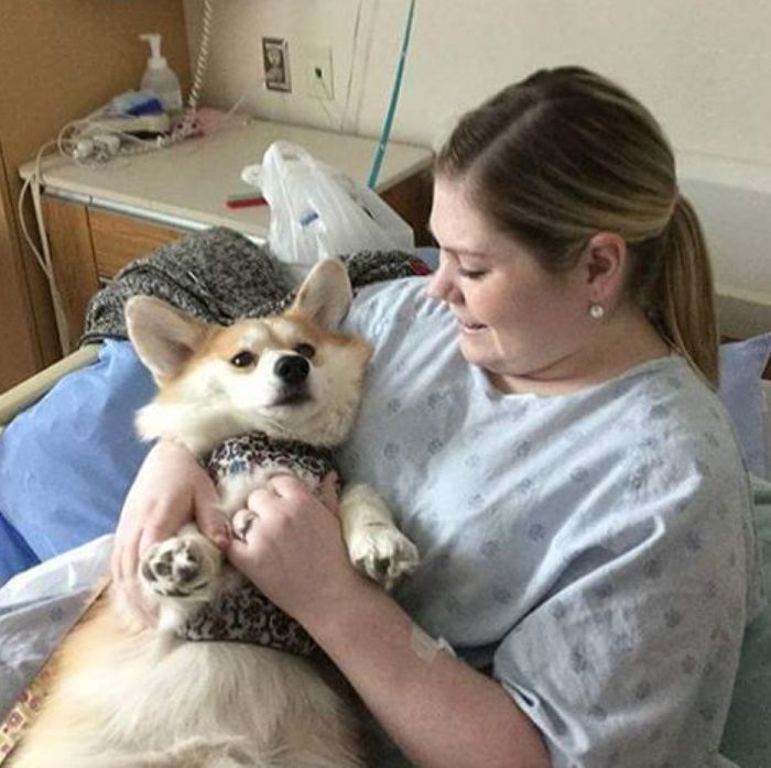 Depuis que cet hôpital accepte les visites d’animaux ses patients vont mieux