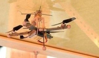Ce drone peut se poser au mur ou au plafond comme un insecte