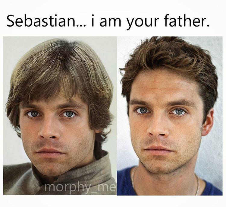 Sebastian Stan (Bucky) pourrait jouer le fils de Luke Skywalker