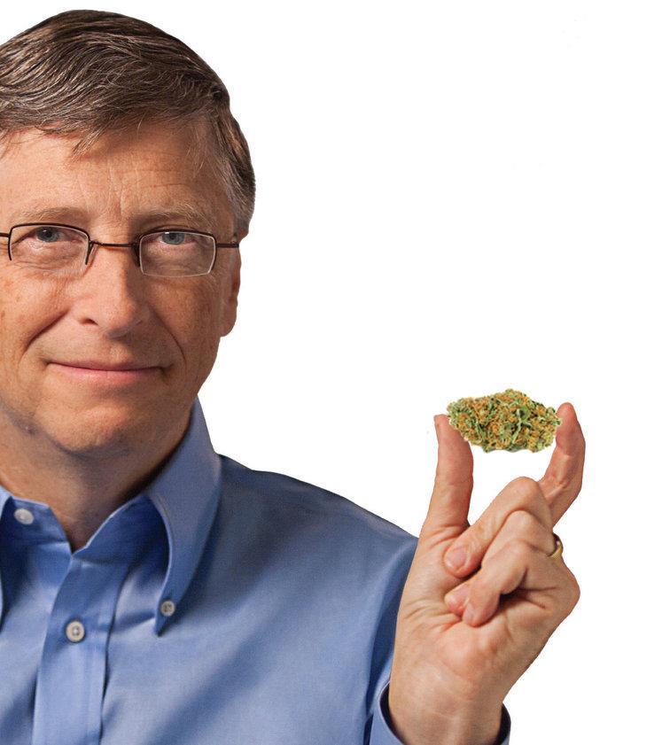 Microsoft se lance dans le business de la marijuana