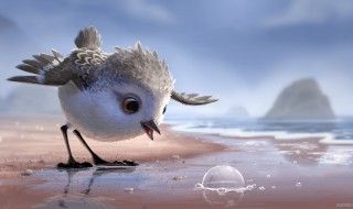 Piper : le nouveau court-métrage de Pixar se dévoile en images