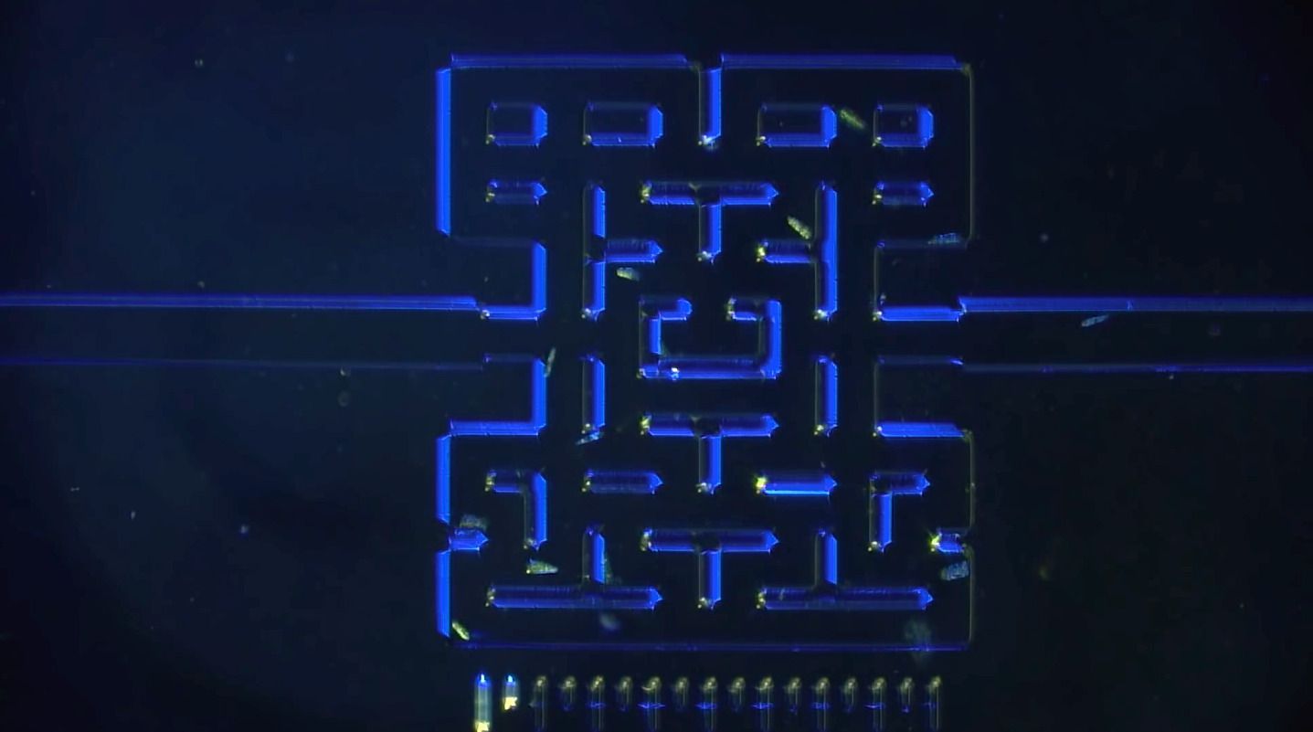 Des chercheurs jouent à Pac-Man avec des bactéries #3