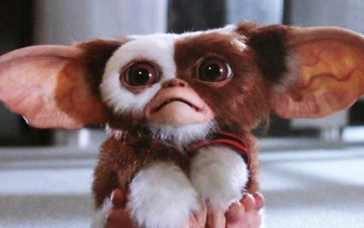 Gremlins streaming gratuit