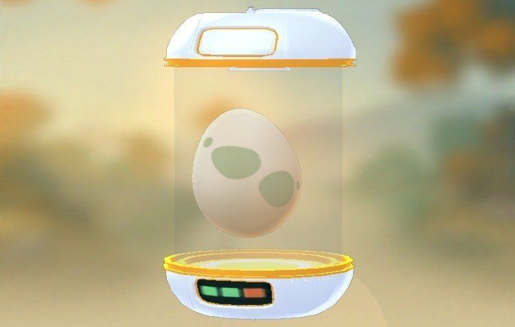 Astuce Pokemon GO : il utilise une poule pour faire éclore ses oeufs
