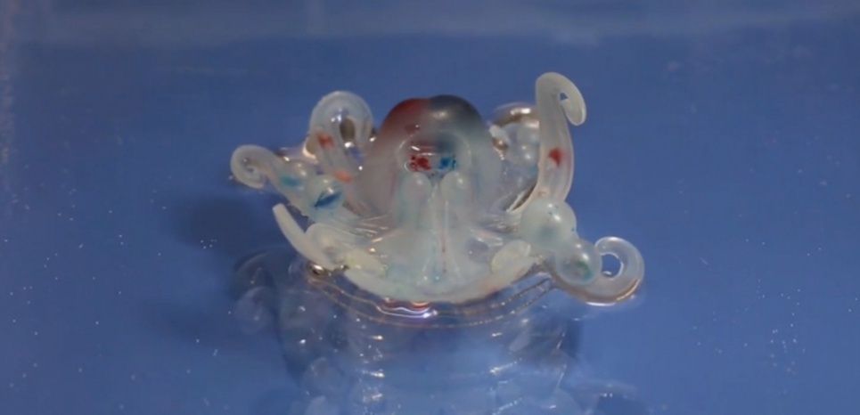 Octobot : un robot-pieuvre ˝mou˝ imprimé en 3D