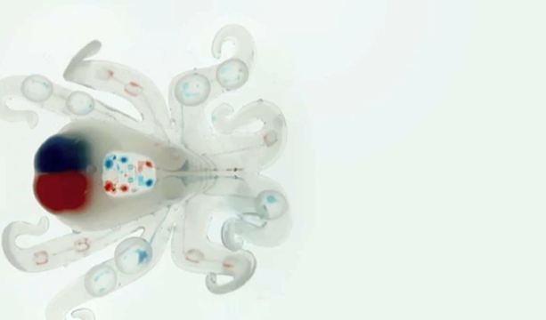 Octobot : un robot-pieuvre ˝mou˝ imprimé en 3D #2