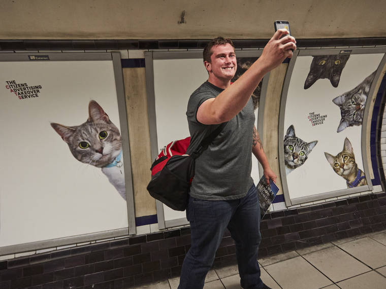 A Londres, les chats ont envahi le métro #3