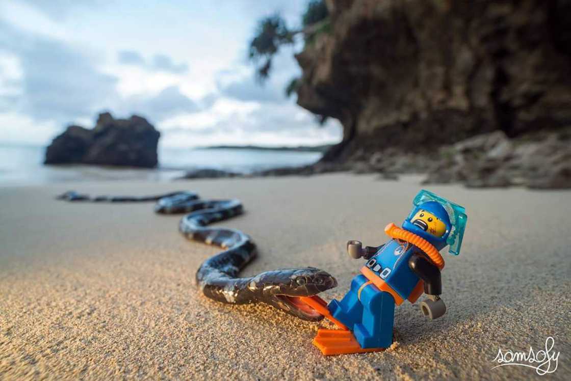 LEGO : un artiste met en scène des minifigs en s'inspirant de la pop culture #12