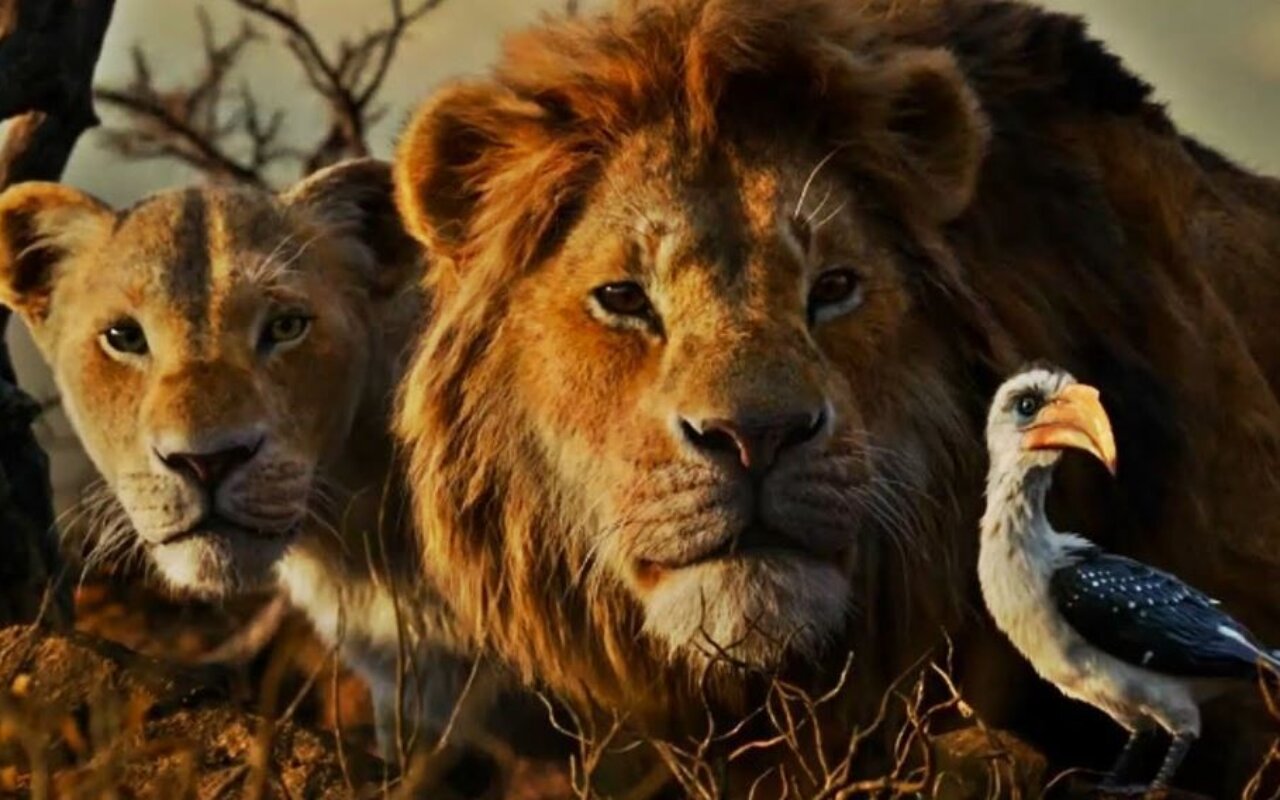 Le Roi Lion streaming gratuit