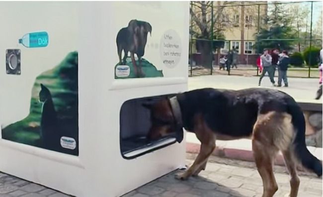 Le recyclage de vos bouteilles peut aider à nourrir les animaux #3