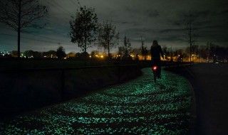 Une piste cyclable phosphorescente rend hommage à Van Gogh