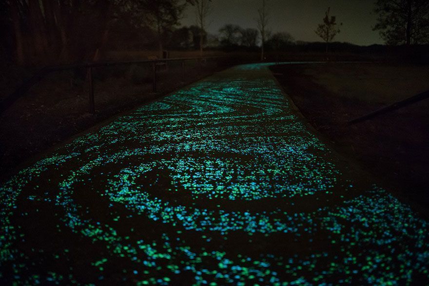Une piste cyclable phosphorescente rend hommage à Van Gogh #2