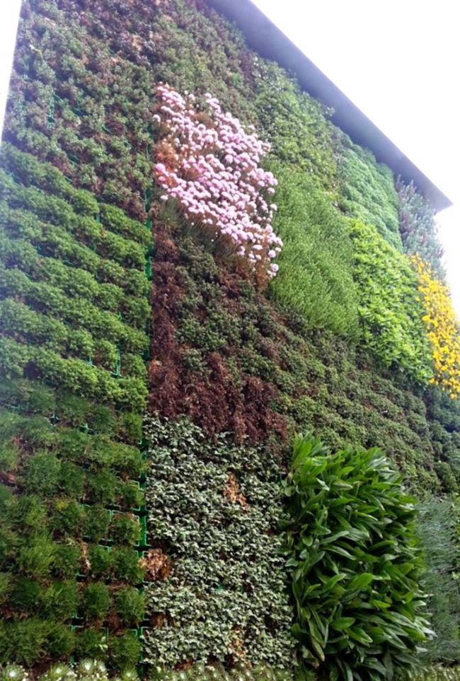 CityTree : ce mur végétalisé dépollue l'air comme une petite forêt #4
