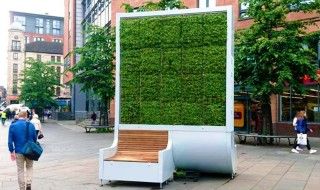 CityTree : ce mur végétalisé dépollue l'air comme une petite forêt