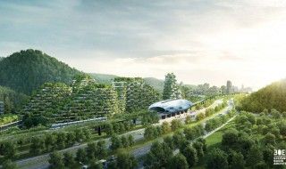 La Chine va construire la première ville forêt au monde