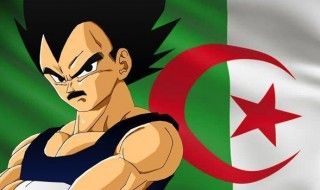 Vegeta, algérien ? L'avis du dessinateur de Dragon Ball Super