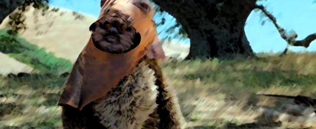 L'Aventure des Ewoks streaming gratuit