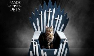 Game Of Thrones : Un trone pour votre chat