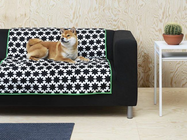 Ikea Une Nouvelle Collection Uniquement Pour Chiens Et Chats