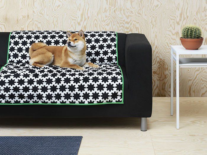 IKEA : une nouvelle collection uniquement pour chiens et chats