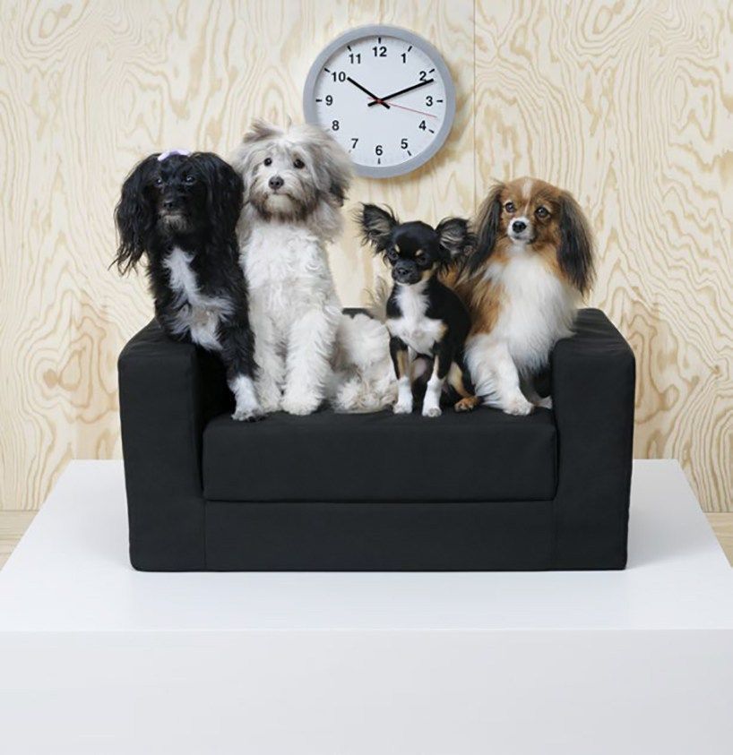 IKEA : une nouvelle collection uniquement pour chiens et chats #4