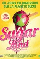 Fiche du film Sugarland