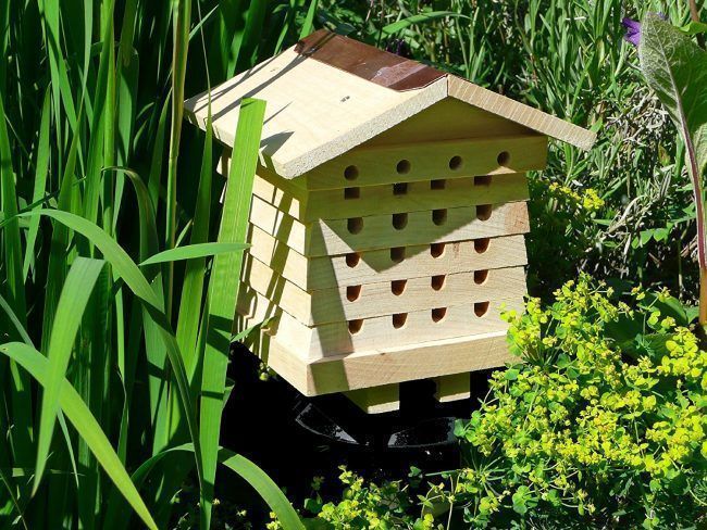 BEEcosystem permet d'installer une ruche dans votre appartement #5