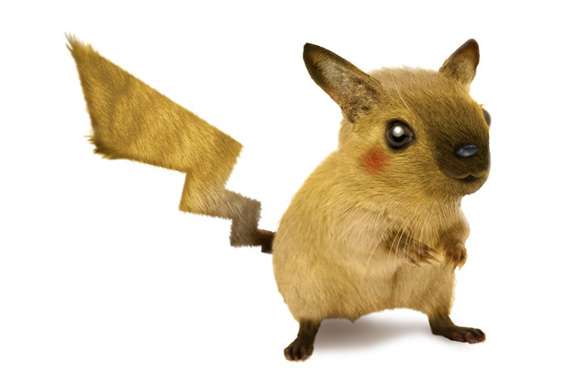 Pokémon : à l'origine Pikachu était un écureuil
