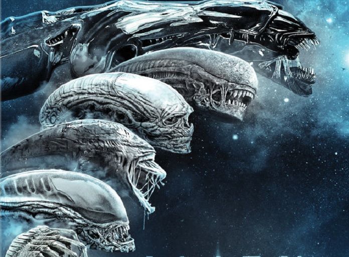 Alien : les Xenomorphes bientôt de retour en série ? #3